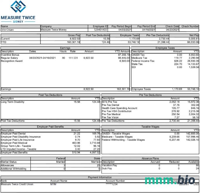 USA Meas Twice Financia payslip template in Word and PDF